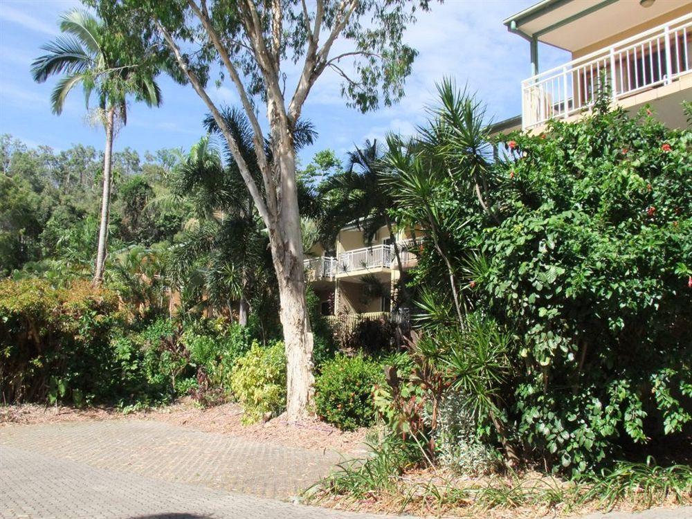 Wangetti Turtle Cove Beach Resort - Adults Only Lgbtqia & Allies מראה חיצוני תמונה